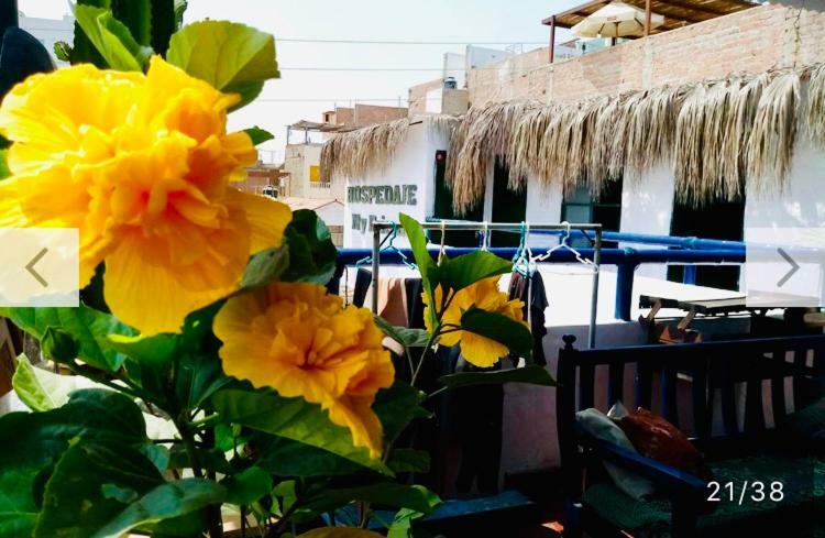 Surf Hostel My Friends Huanchaco Exterior photo